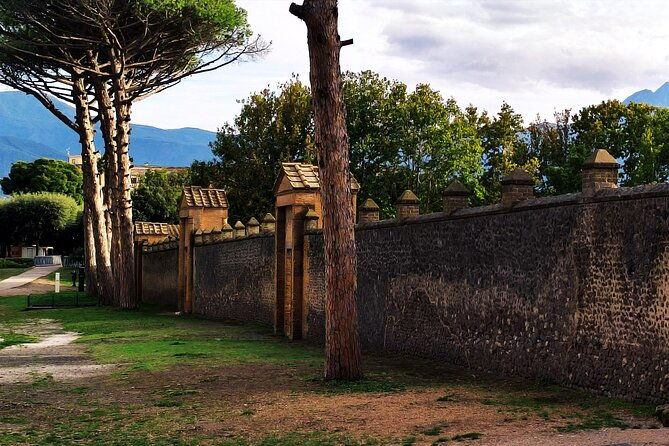 2-hours-private-tour-in-pompeii-with-archaeologist