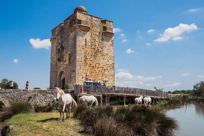 3-5-hour-camargue-4x4-safari-from-le-grau-du-roi