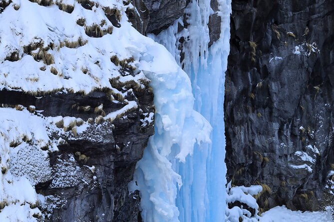 3-5hours-primeval-forest-snowshoe-hike-and-wildlife-watching-tour