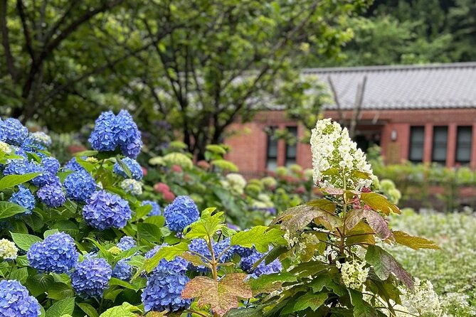 3-hours-private-historical-walking-tour-of-miura-peninsula