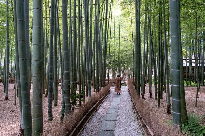 3h-private-tour-with-a-local-photographer