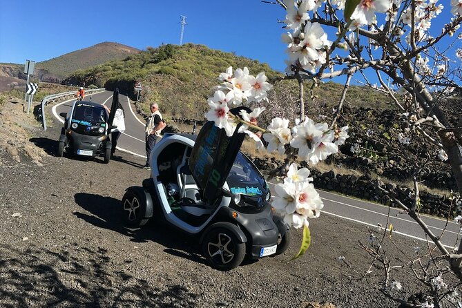 4-hours-eco-safari-tour-with-electric-car-in-tenerife