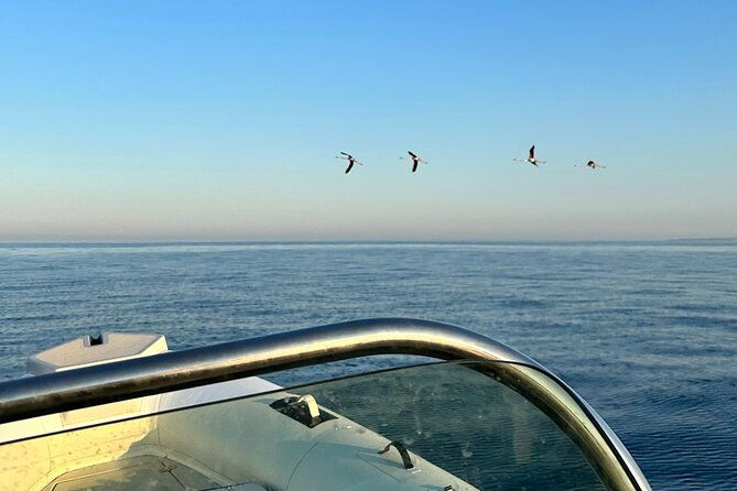 5-hour-group-boat-tour-vendicari-marzamemi-capopassero