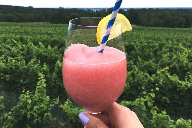 5-hour-traverse-city-wine-tour-4-wineries-on-old-mission-peninsula