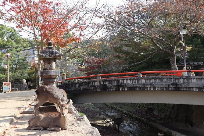 7-hours-private-customizable-walking-tour-in-hiroshima