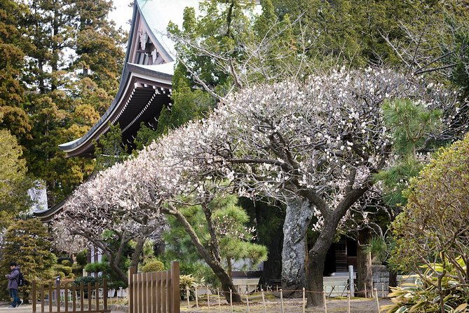 a-fun-day-out-discovering-kamakura