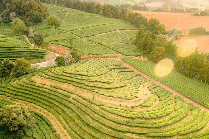 adventure-in-the-furnas-with-volcanoes-lagoons-and-tea-plantations