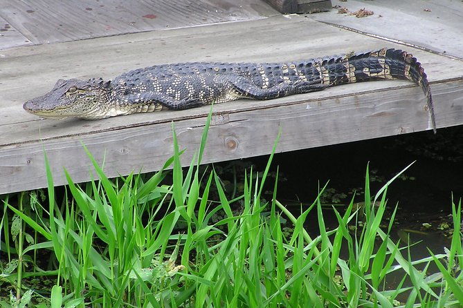airboat-and-plantations-tour-with-gourmet-lunch-from-new-orleans