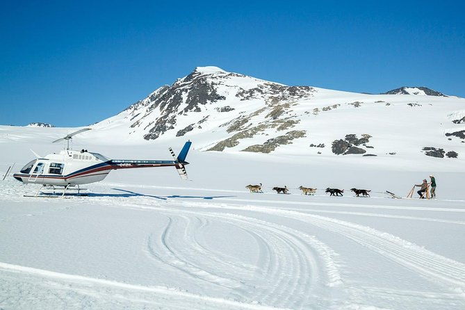 alaska-helicopter-and-glacier-dogsled-tour-anchorage-area