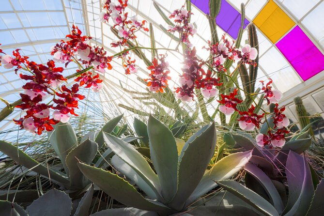 all-garden-pass-for-the-new-york-botanical-garden