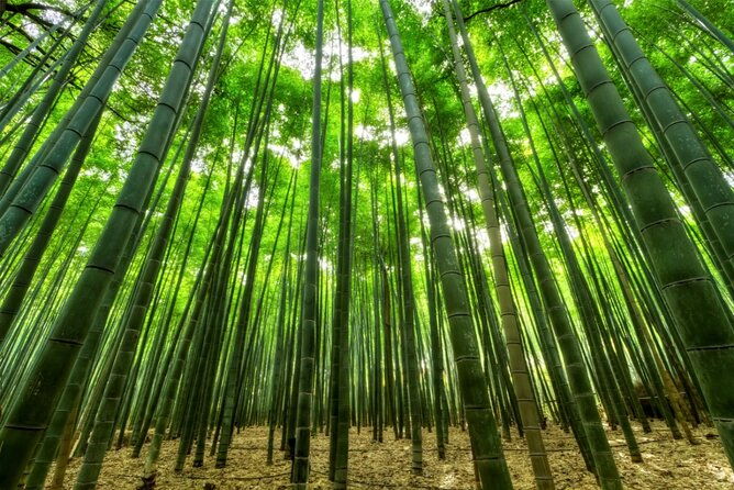 all-inclusive%e3%83%bbprivate-tour-kamakura-tour-on-a-luxury-car