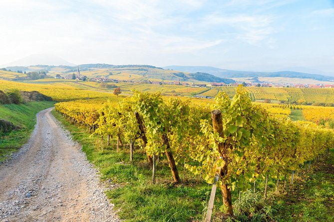 alsace-villages-half-day-tour-from-colmar