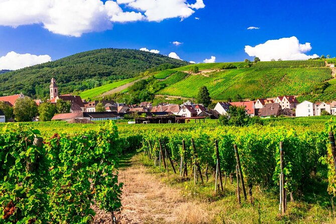 alsace-wine-route-small-group-half-day-tour-with-tasting-from-strasbourg