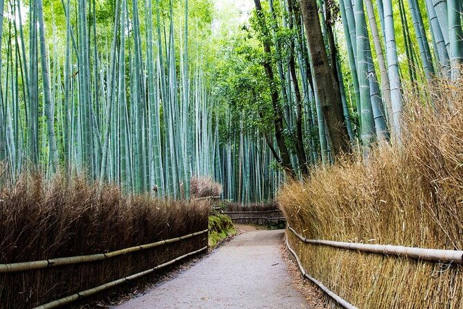 arashiyama-bamboo-grove-day-trip-from-kyoto-with-a-local-private-personalized