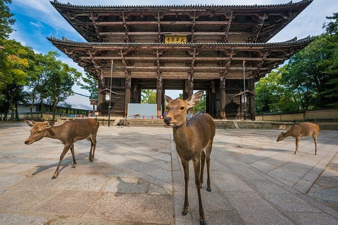 arashiyama-yasaka-shrine-nara-todaiji-day-trip-from-osaka