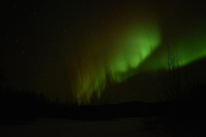 arctic-circle-and-northern-lights-tour-from-fairbanks