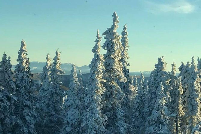 arctic-circle-day-trip-from-fairbanks-with-transportation