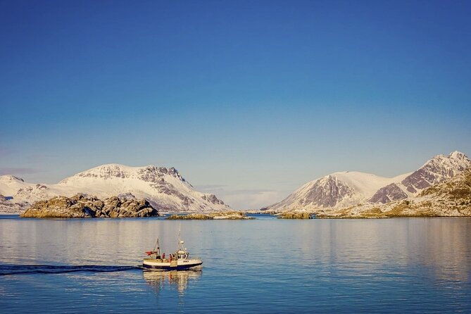arctic-wildlife-and-fjord-sightseeing