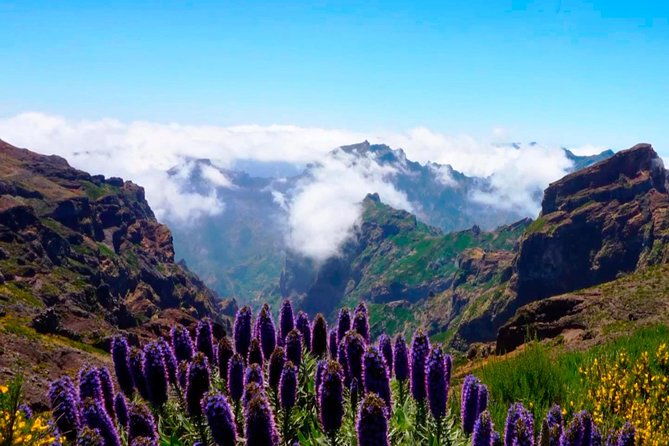 arieiro-peak-santo-da-serra-and-cristo-rei-4x4-experience