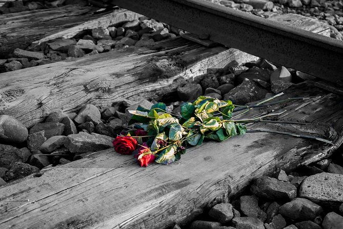 auschwitz-birkenau-and-salt-mine-full-day-guided-tour-from-krakow-hotel-pick-up