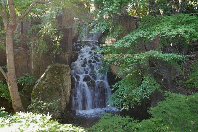 autumn-leaves-private-tour-in-nagoya