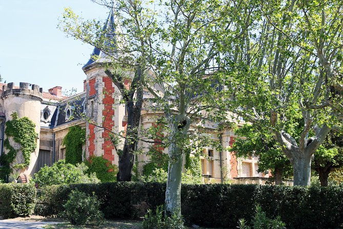 avignons-history-local-culture-the-wines-of-chateauneuf-du-pape-private-tour
