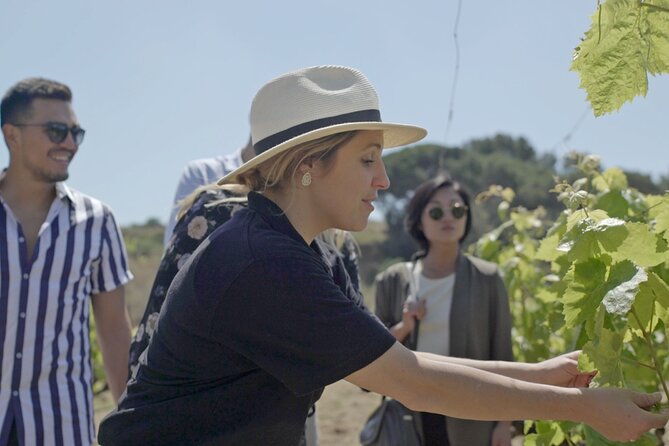 barcelona-sailing-adventure-and-small-group-winery-tasting-tour