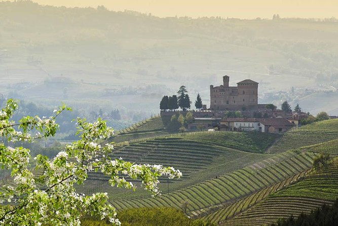 barolo-wine-and-food-tasting-at-piedmont-region-winery