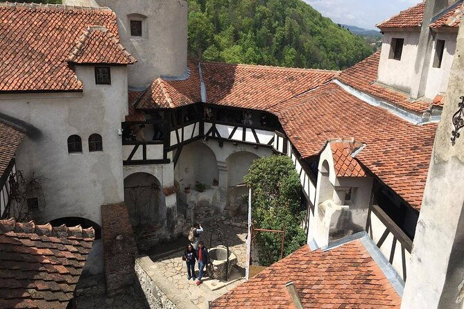 bear-sanctuary-and-bran-castle-from-brasov