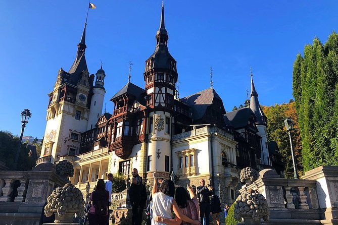 bear-sanctuary-bran-dracula-castle-peles-castle-from-brasov