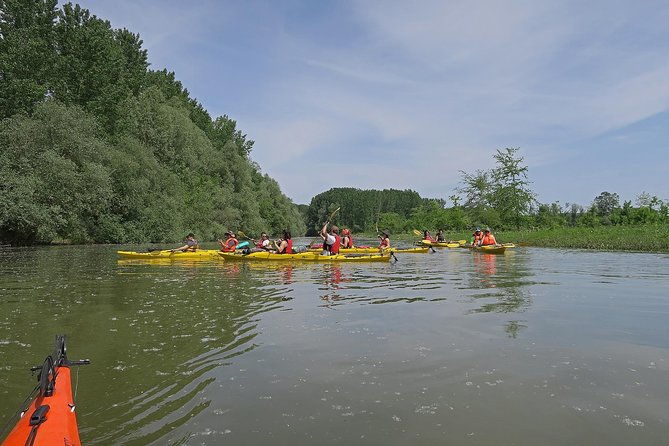 belgrade-war-island-kayak-tour