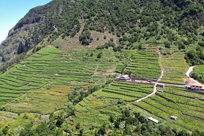bestselling-wine-tour-tasting-experience-skywalk-4x4-adventure