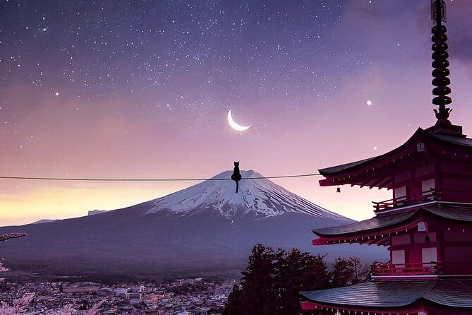 beyond-the-ordinary-private-mount-fuji-cherry-blossom-tour