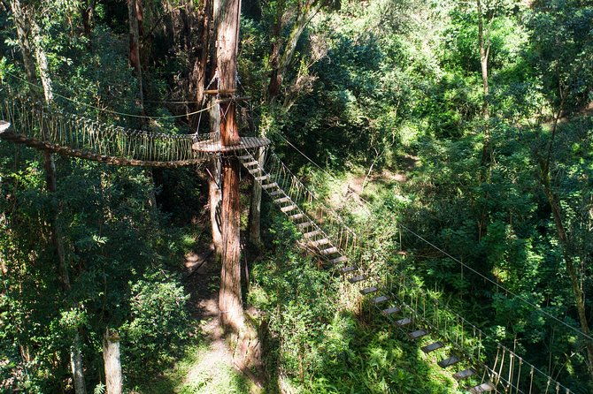 big-island-kohala-canopy-zipline-adventure
