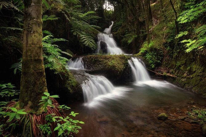big-island-waterfalls-tour-with-swimming-and-botanical-garden