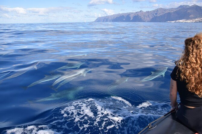 bonadea-ii-ecological-whale-watching-2-hours