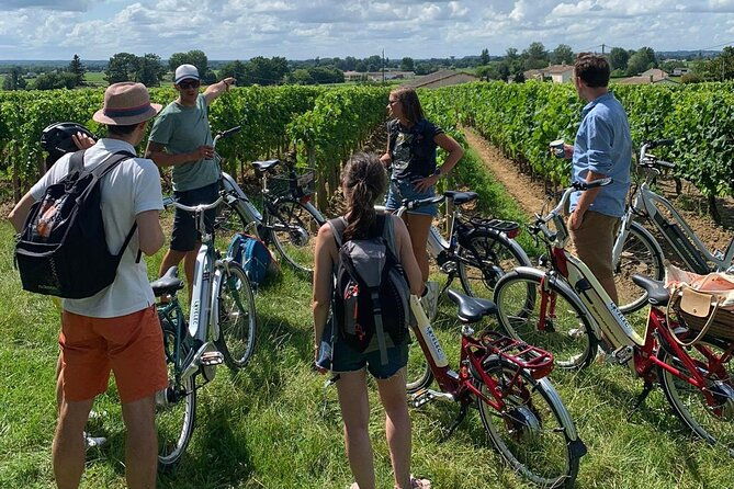 bordeaux-full-day-wine-and-bike-tour
