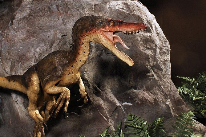 branson-dinosaur-museum-admission-ticket
