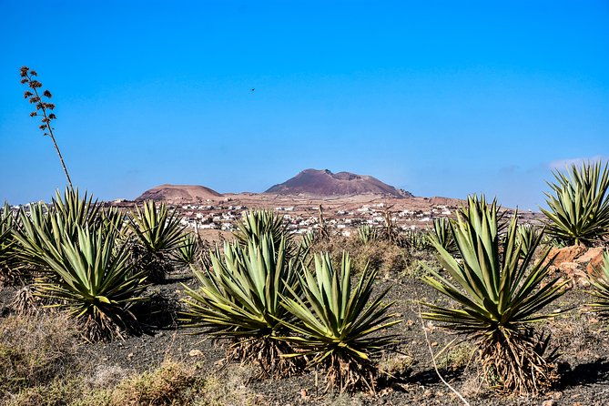 buggy-fuerteventura-off-road-excursions
