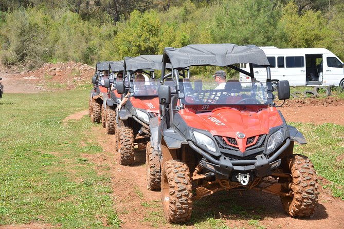 buggy-safari