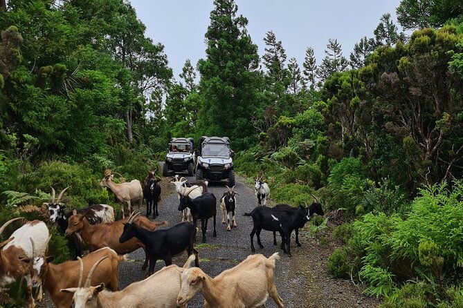 buggy-tour-west-center-of-the-island-off-road