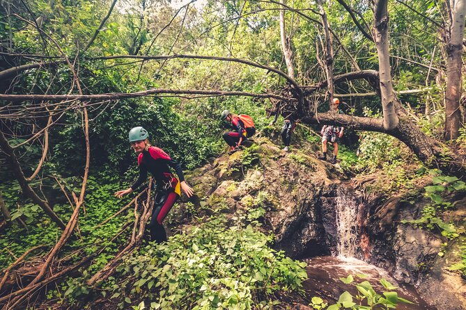 canyoning-with-waterfalls-in-the-rainforest-small-groups-%e3%83%84