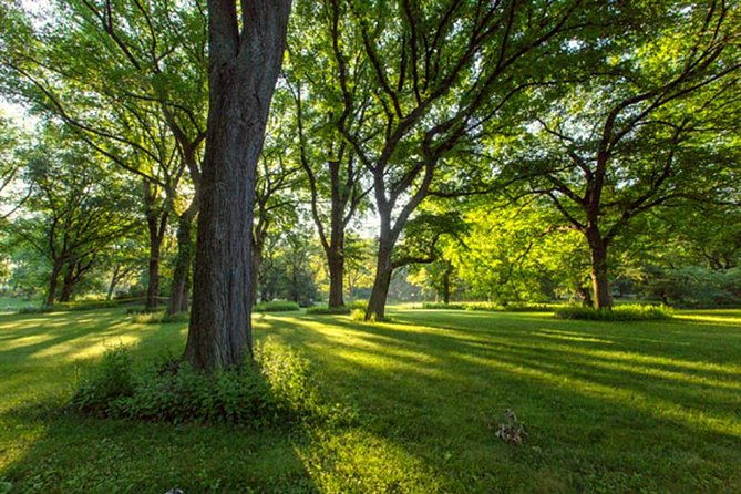 central-park-guided-walking-tour