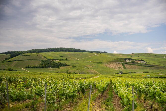 champagne-experience-with-a-vintage-van-from-epernay-3-hours