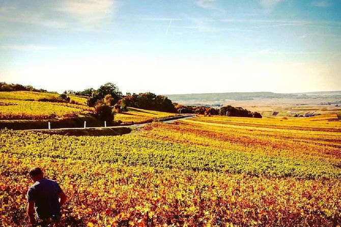 champagne-moet-and-chandon-private-tour-with-tastings-from-reims-or-epernay
