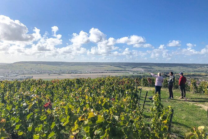champagne-private-vip-wine-day-trip-with-michelin-lunch
