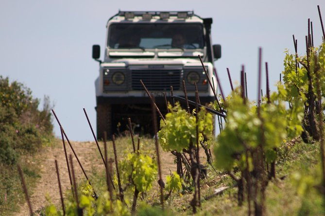 chania-shore-excursion-off-road-vineyard-and-winery-tour-half-day