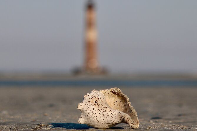 charleston-eco-boat-cruise-with-stop-at-morris-island-lighthouse