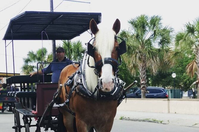 charlestons-historic-residential-horse-and-carriage-tour