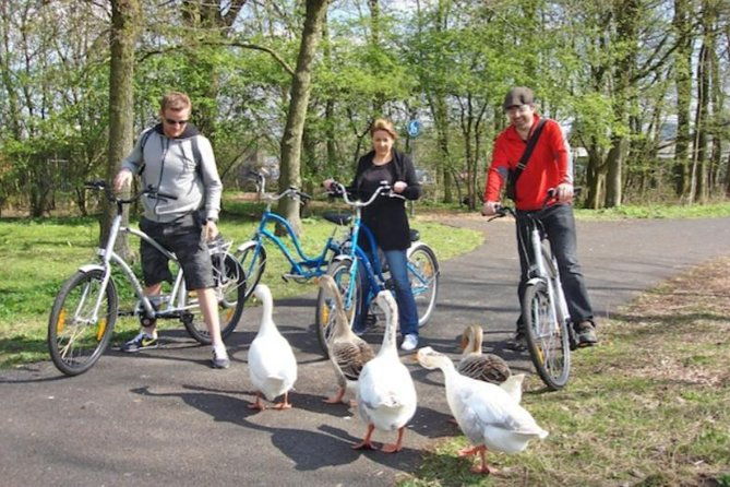 cheese-canals-windmill-countryside-e-bike-tour-amsterdam